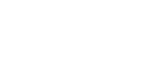 about the artist